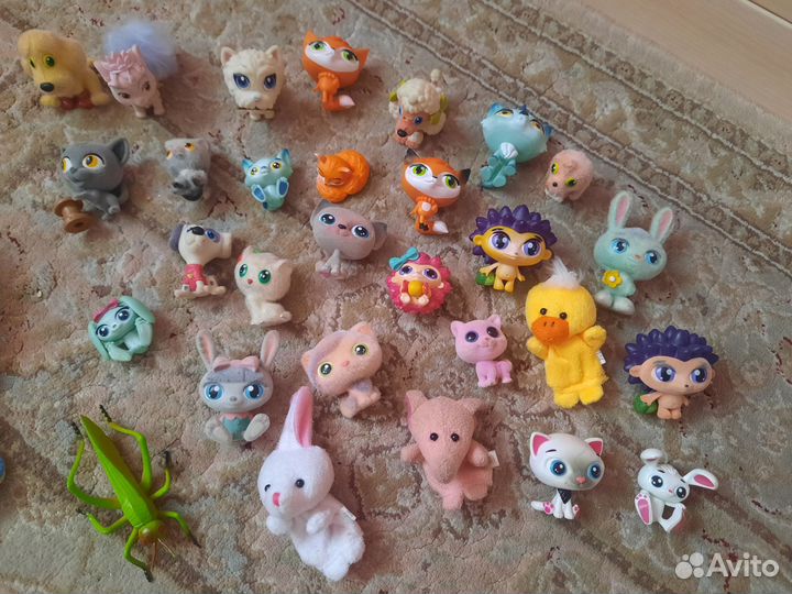 Котики, ежики