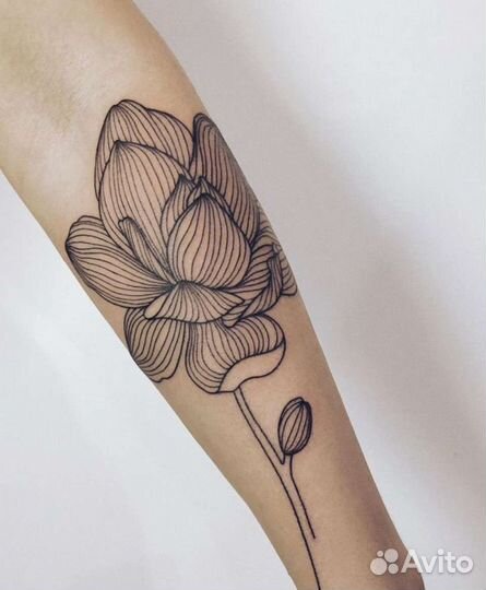 Татуировка, мастер тату, тату