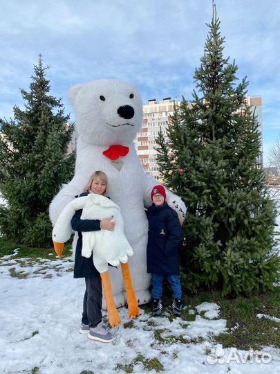 Поздравление Мишка/Чебурашка/ Панда /Аниматоры