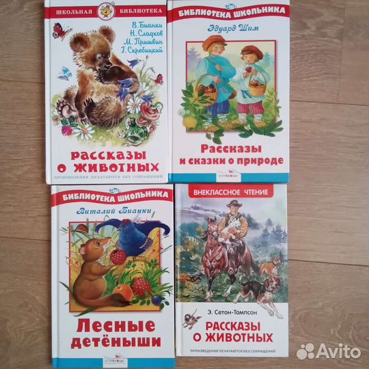 Школьная библиотека. Внеклассное чтение