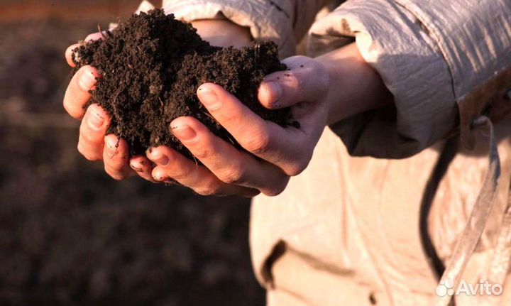 Торфосмесь