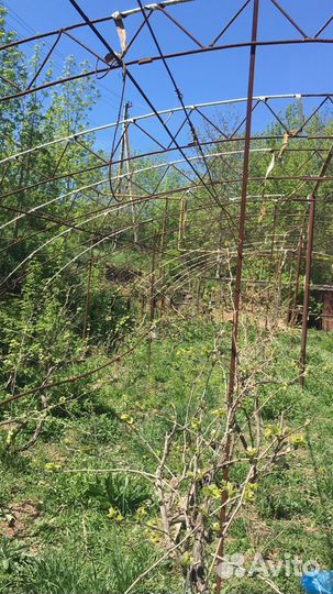 Две Теплицы металлические