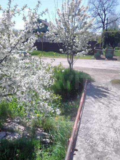 Дом 51 м² на участке 1 сот.