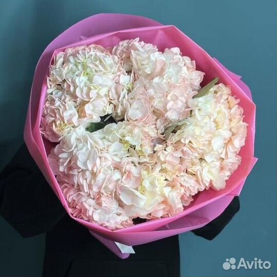 Букет гортензий Цветы гортензии