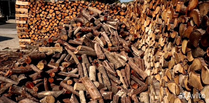 Дрова оптом
