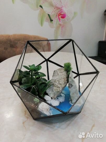 Флорариум - стильный подарок