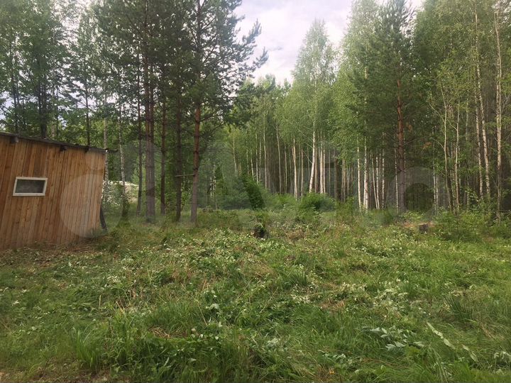 Участок 14 сот. (СНТ, ДНП)