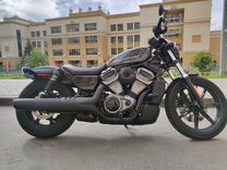 Harley Davidson Nigster 2022