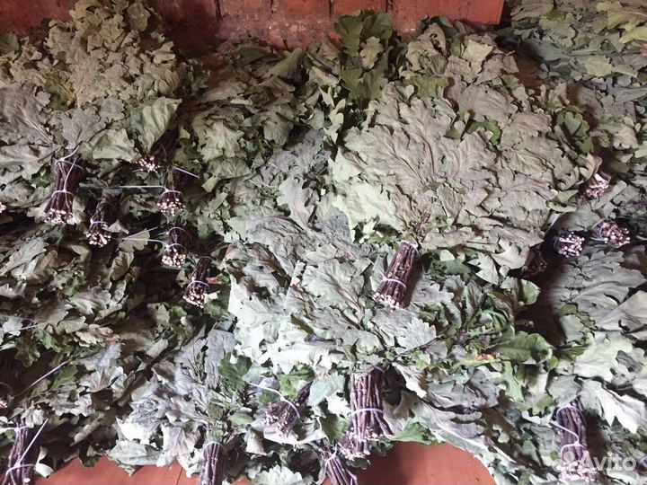 Дубовый веник