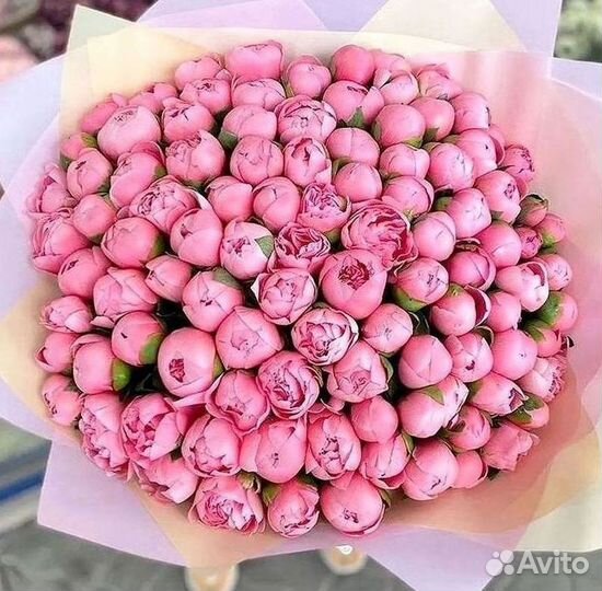 Пионы Букет