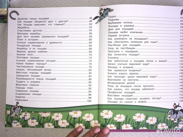 Книга Лошади и пони