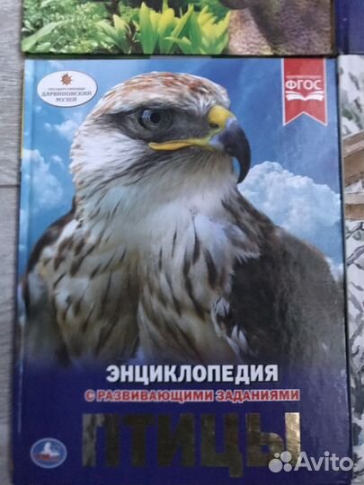 Книги о динозаврах, птицах, земле