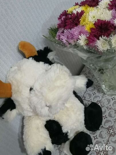 Игрушка новая