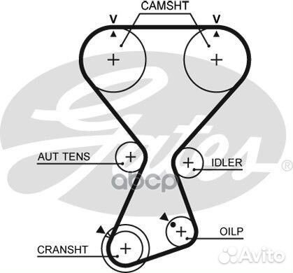 T313 Ремень грм hyundai / KIA 2.4 98- (175x29)
