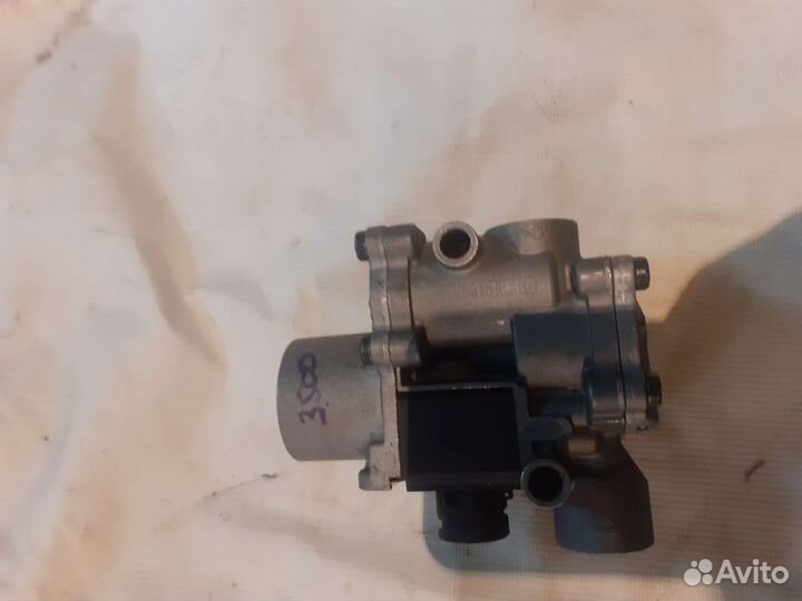 Для маз зубренок