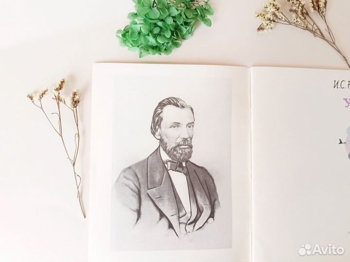 Утро Иван Никитин 1974