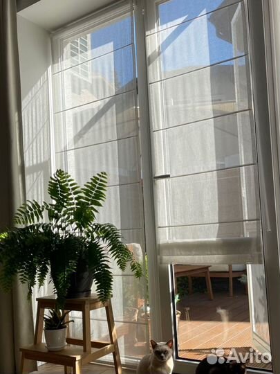 Жалюзи рулонные, вертикальные, горизонтальные и не