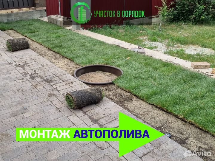 Рулонный газон от поставщика без переплат