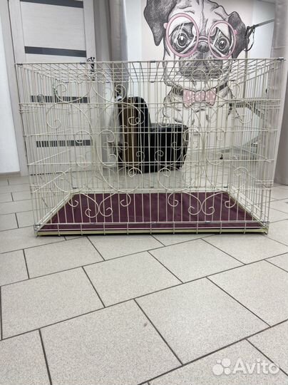 Клетка вольер для собак