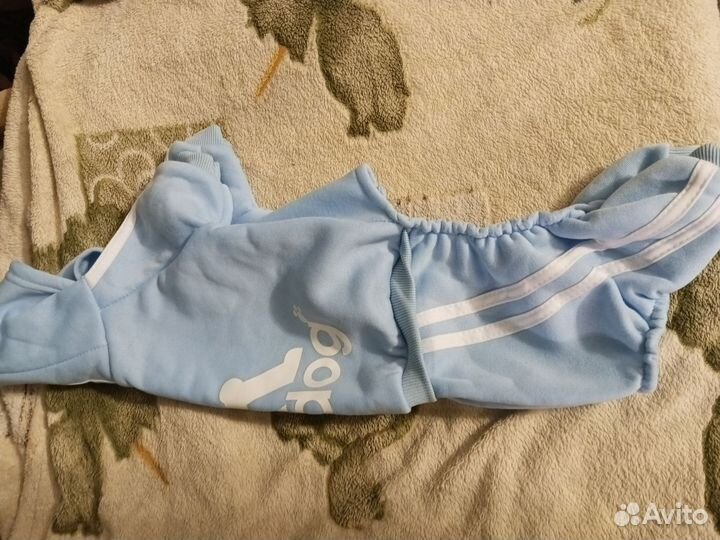 Костюм для собак