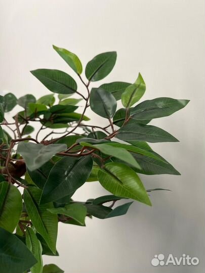 Фикус бенджамина искусственный