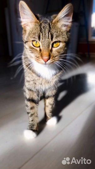 Выкинули на холод