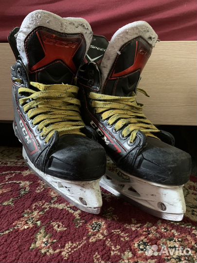 Коньки CCM jetspeed ft380 37,5р
