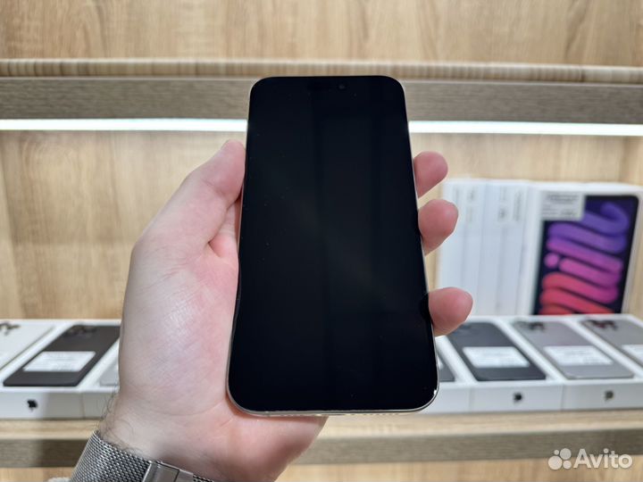 iPhone 15 Pro Max, 256 ГБ