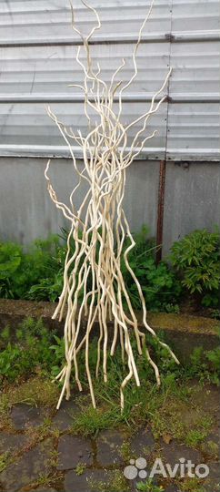 Ветки для поделок и декора