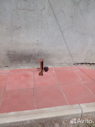 Лапа сапожная