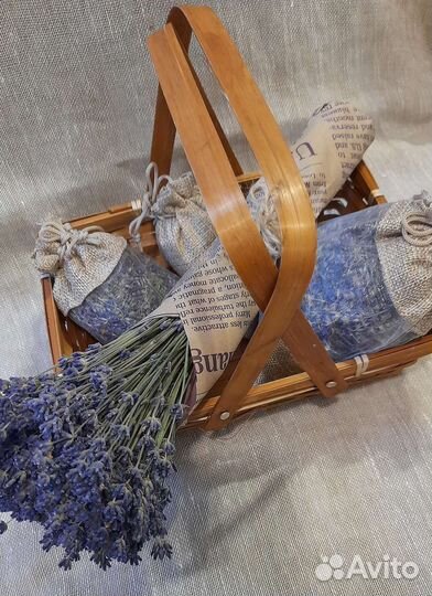 Набор из сухой лаванды