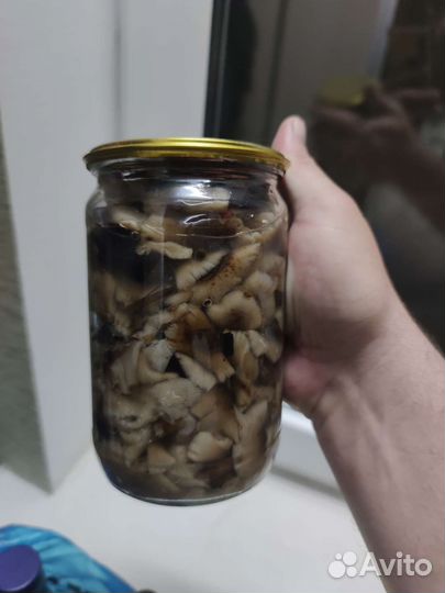Грибы опята