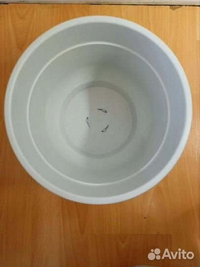 Горшок Флокс, 2 шт, бронь