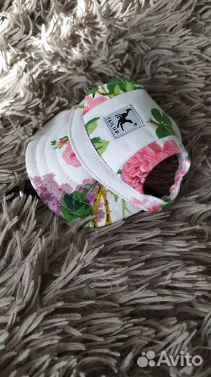 Шапочка для собачки