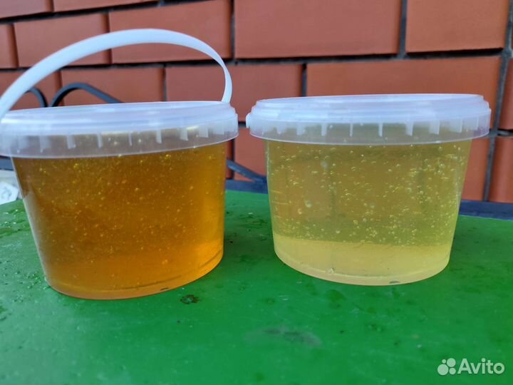 Мёд акация 2023