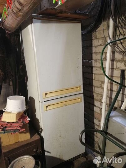 Холодильник stinol