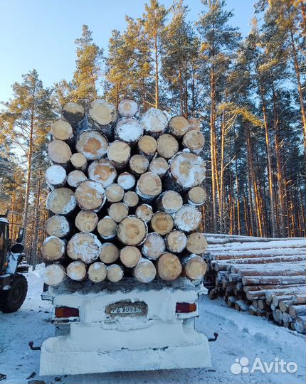 Пиловочник Деловой Лес Кругляк