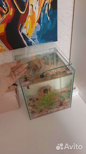 Аквариум