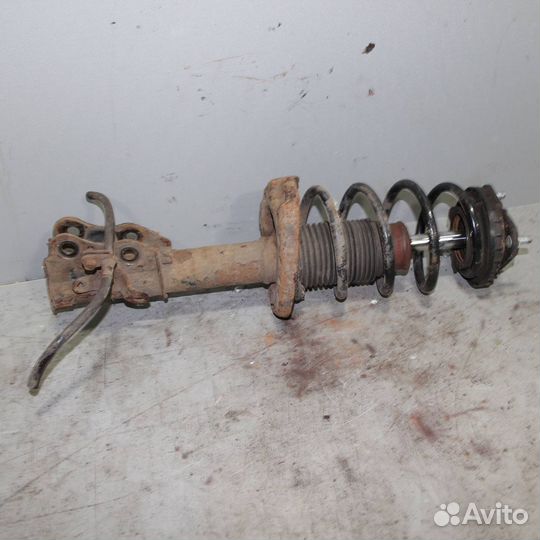 Амортизатор передний левый honda Civic 5D 2006-20