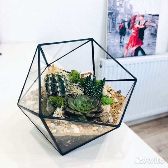 Флорариум с суккулентами