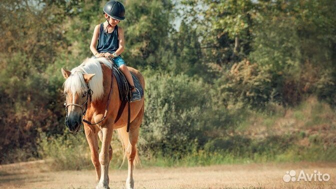 Конная прогулка на лошадях
