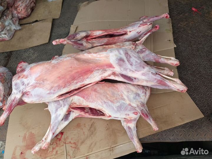 Мясо баранина халяль