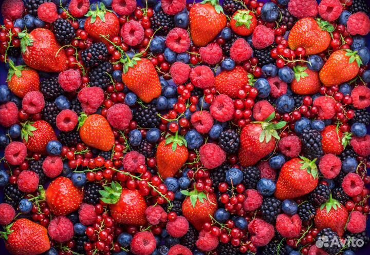 Вахта с проживанием