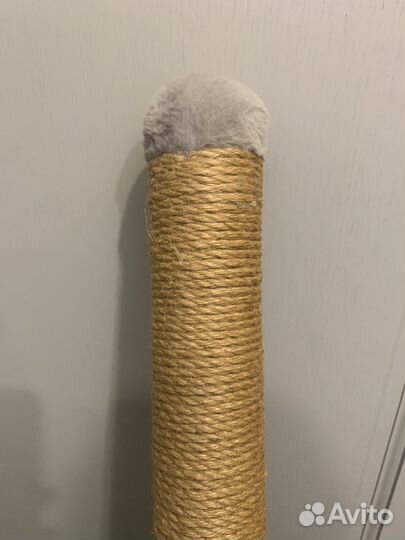 Когтеточка