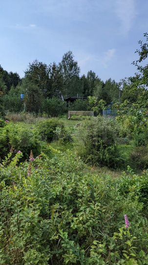 Дом 50 м² на участке 20 сот.