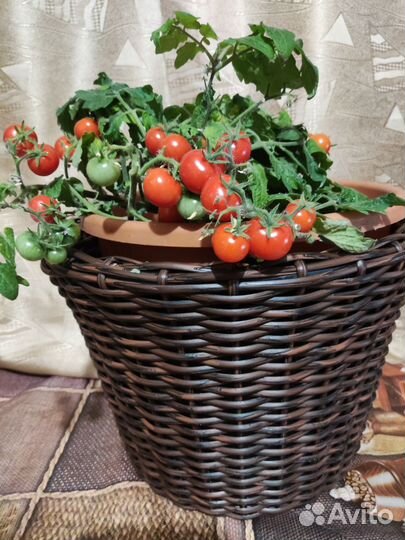 Кашпо из ротанга ручная работа