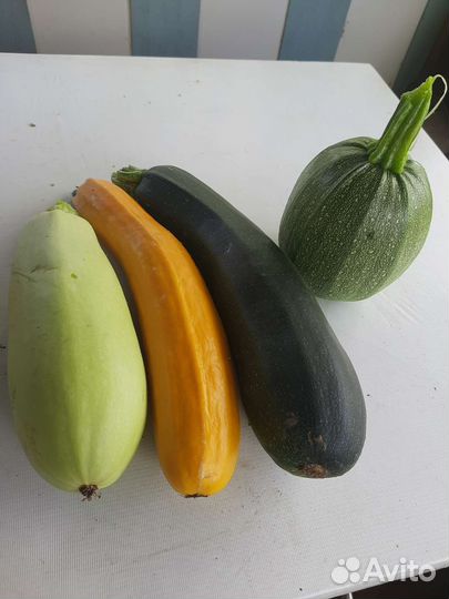 Кабачки свежие