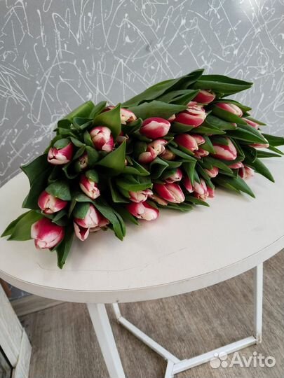 Тюльпаны крупный бутон