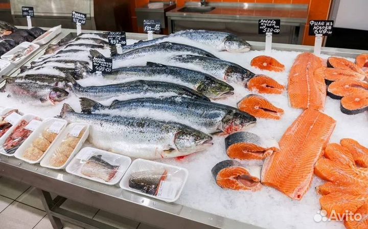 Магазин рыбы и морепродуктов с постоянным доходом