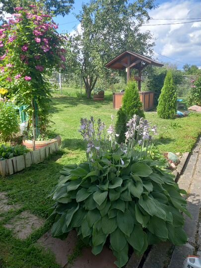 Дача 30 м² на участке 6 сот.